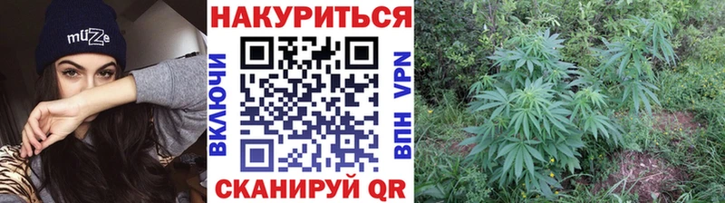 Купить закладку ГЕРОИН  Альфа ПВП  Гашиш  Мефедрон  Каннабис  Лыткарино