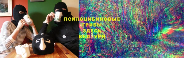 МДПВ Каменск-Шахтинский