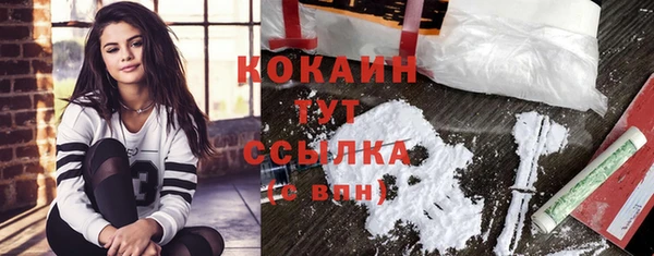 твердый Каменка