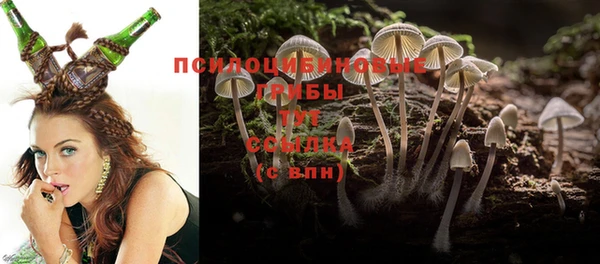 твердый Каменка